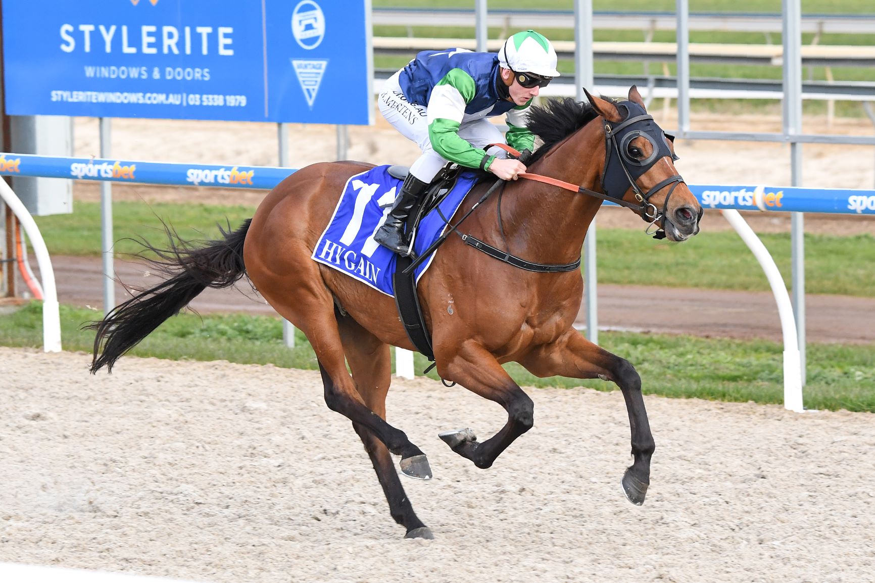 honorable-spirit-goes-out-a-winner-henry-dwyer-racing