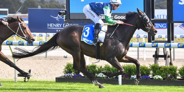 Henry Dwyer Racing – Friday Preview