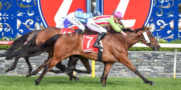 Henry Dwyer Racing – Tuesday Preview