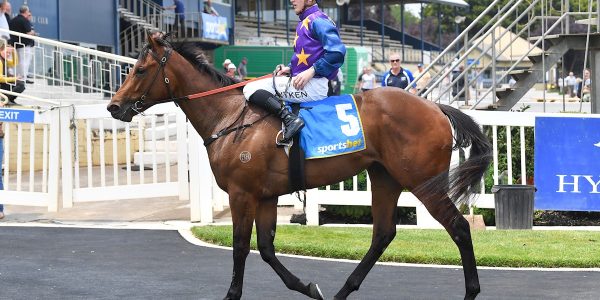 Henry Dwyer Racing – Tuesday Preview